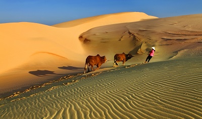 Dune de sable de Luong Son - Binh Thuan