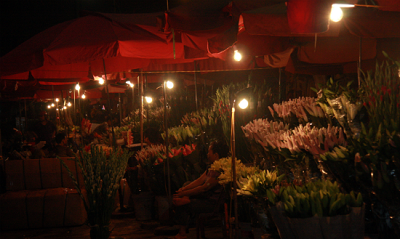 marché des fleurs nocturne