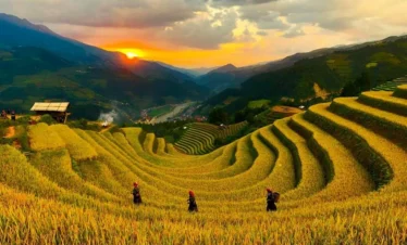 mu cang chai mong ngua