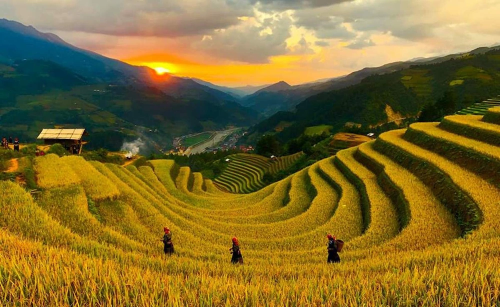 mu cang chai mong ngua