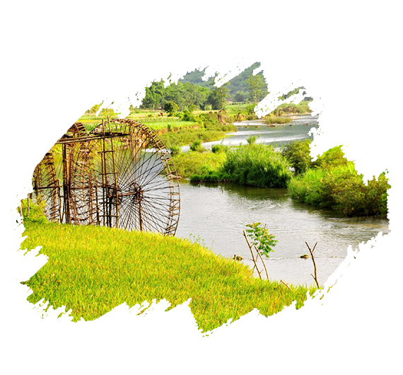 pu-luong-mua-lua-chin