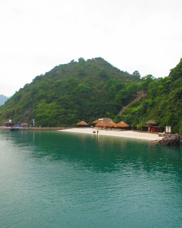 baie d ha long soi sim