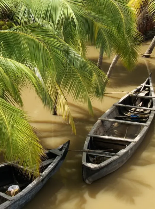 paysage-mekong-barques