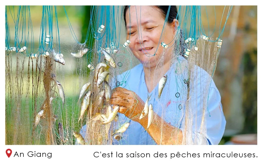 C'est-la-saison-des-pêches-miraculeuses.-Le-poisson-linh
