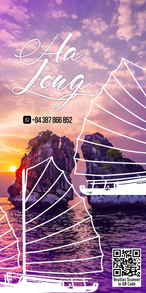banner-halong (1)