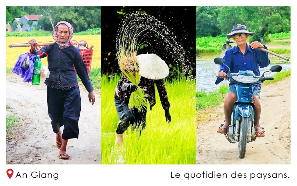 le-quotidien-des-paysans