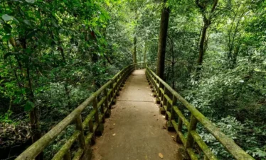parc national cuc phuong