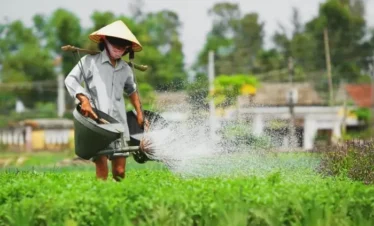 village tra que hoi an