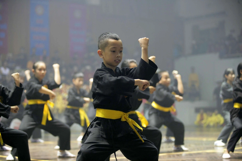 arts martiaux traditionnels 3_