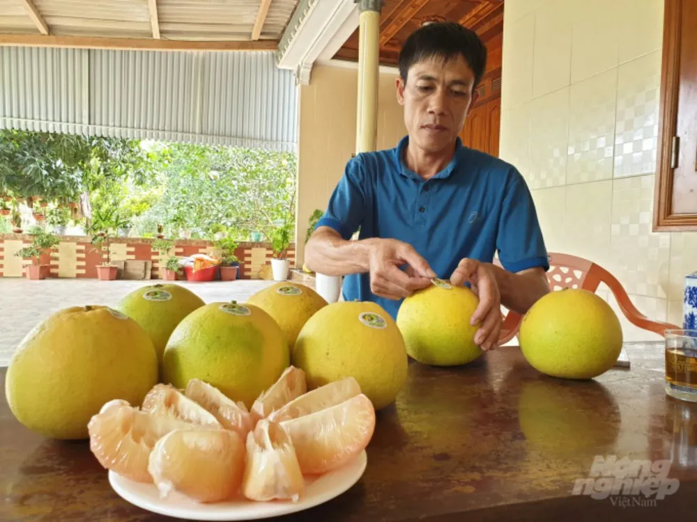 pamplemousse de phuc trach 4_